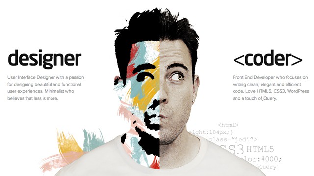 Website Designer vs. Website Developer